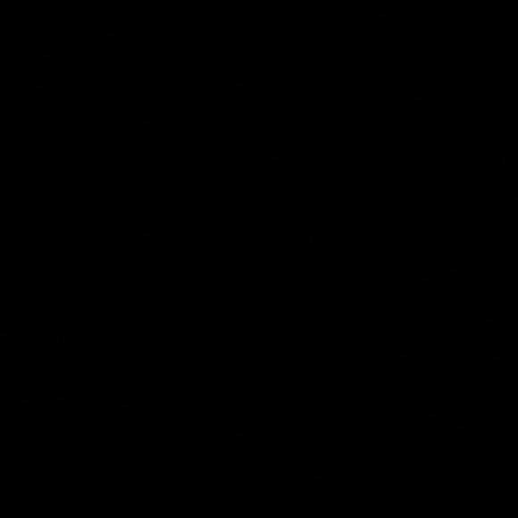 Meet your Posher, Alexis - Picture 1 of 1